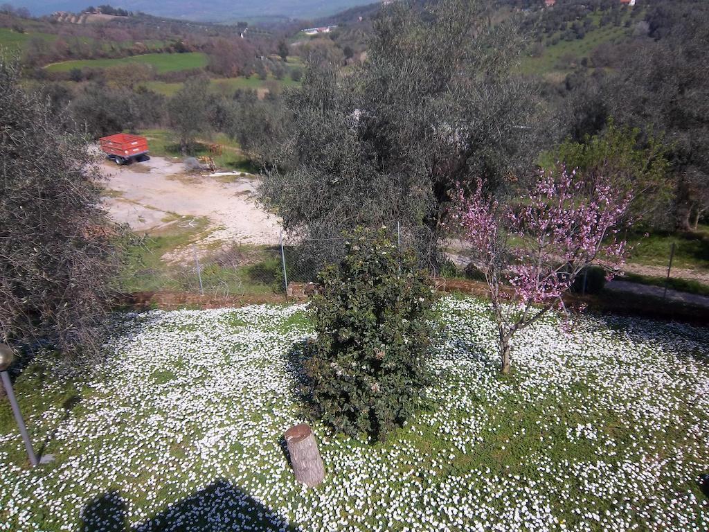 Agriturismo Norianino Montemerano Luaran gambar